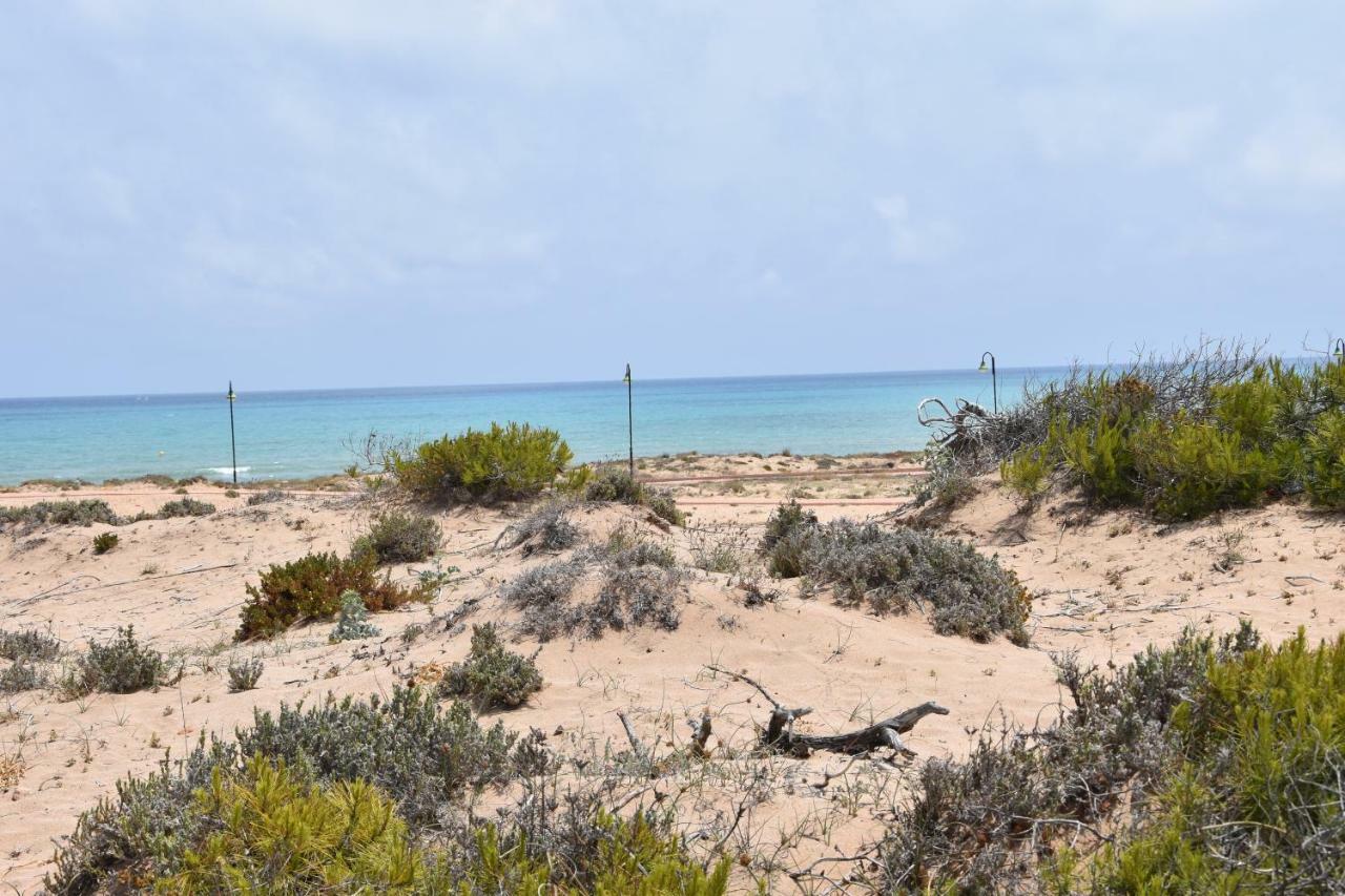 Apartment Vinamar III - Sunny La Mata Ла-Мата Экстерьер фото