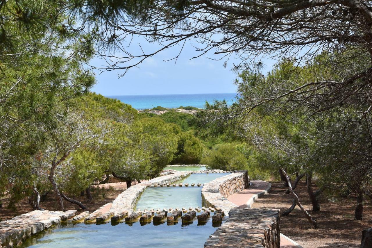 Apartment Vinamar III - Sunny La Mata Ла-Мата Экстерьер фото